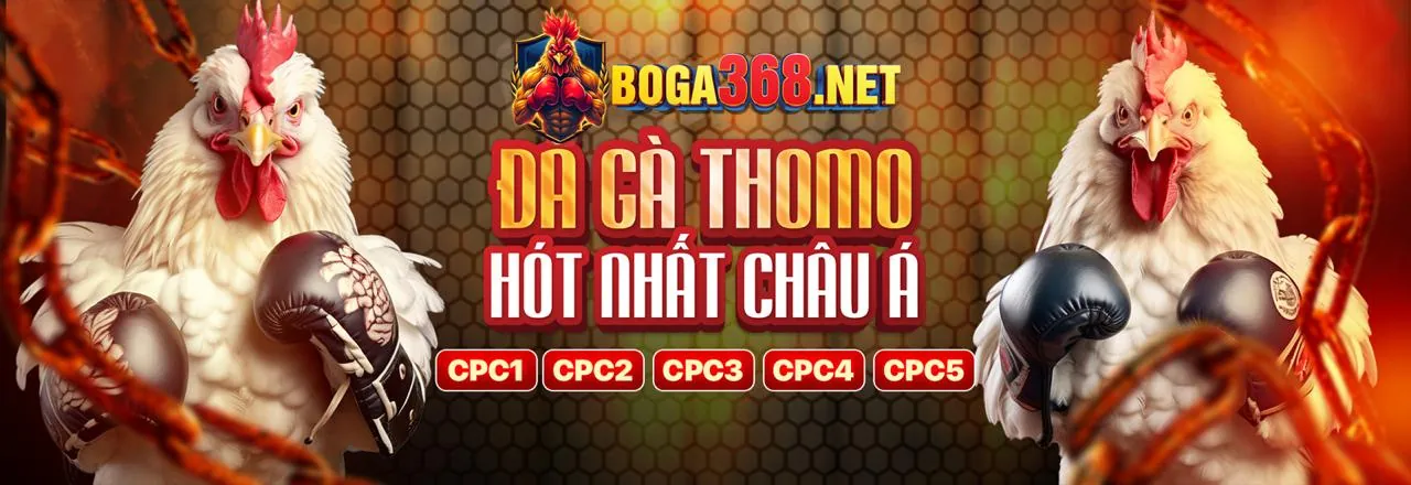Đá Gà Trực Tuyến Win456 – Sân chơi đá gà kịch tính